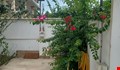 ویلای عباسا